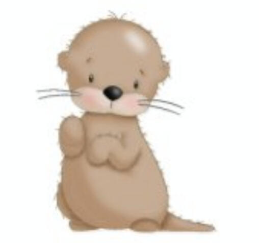 Otter 3