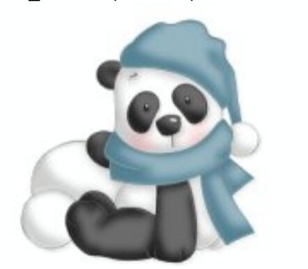 Panda Winter