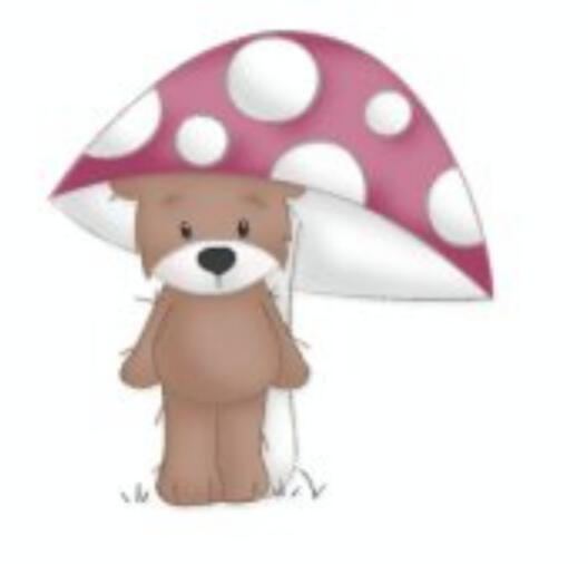 Teddy Pilz
