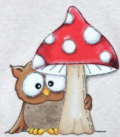 Eule Pilz