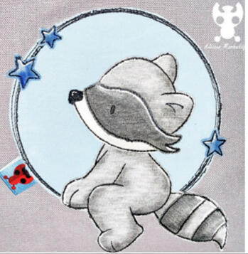 Waschbär Sternchen