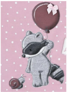 Waschbär Ballon 2