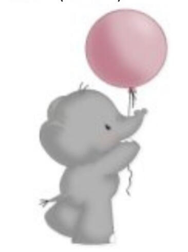 Elefant Ballon 2
