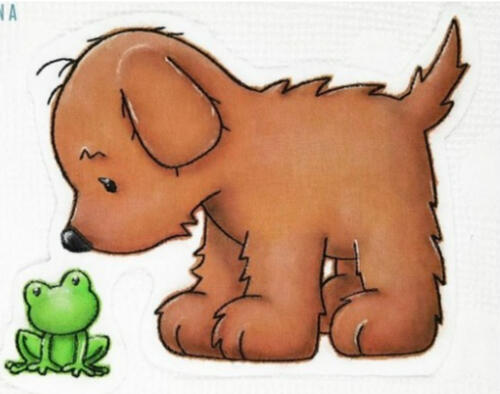 Hund mit Frosch